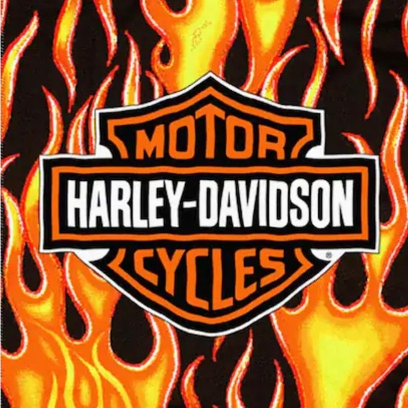 🦩Live Harley-Davidson Tees and MORE!! 🏍️❤️‍🔥🔥Come Hangout!! - Picture 2 of 16